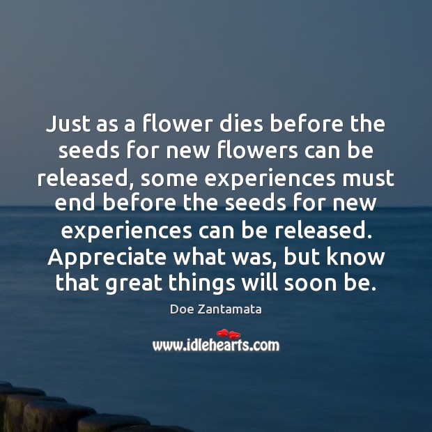 Some experiences must end before the seeds for new experiences can be released. Appreciate Quotes Image