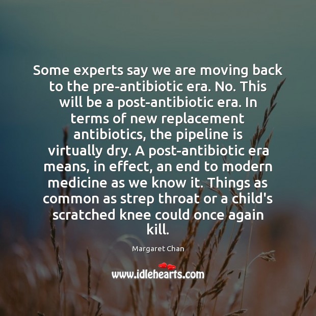 Some experts say we are moving back to the pre-antibiotic era. No. Margaret Chan Picture Quote