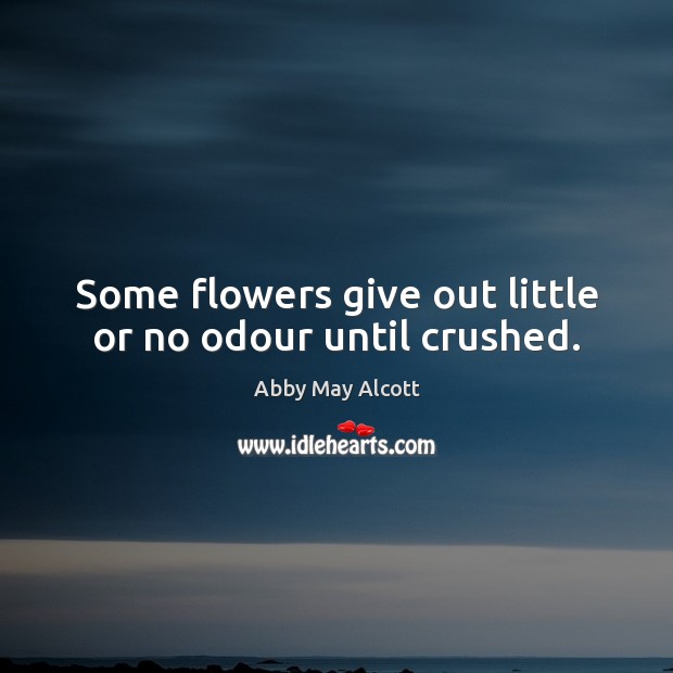 Some flowers give out little or no odour until crushed. Abby May Alcott Picture Quote