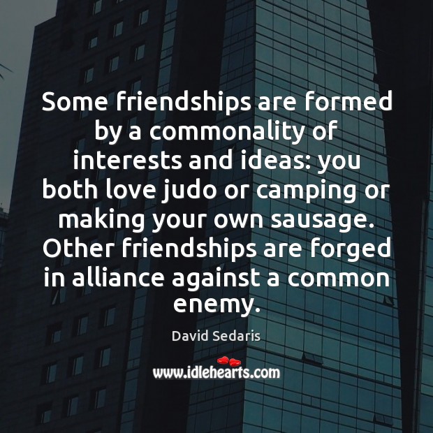 Some friendships are formed by a commonality of interests and ideas: you David Sedaris Picture Quote