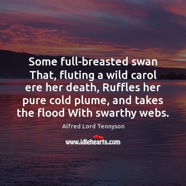 Some full-breasted swan That, fluting a wild carol ere her death, Ruffles Alfred Lord Tennyson Picture Quote