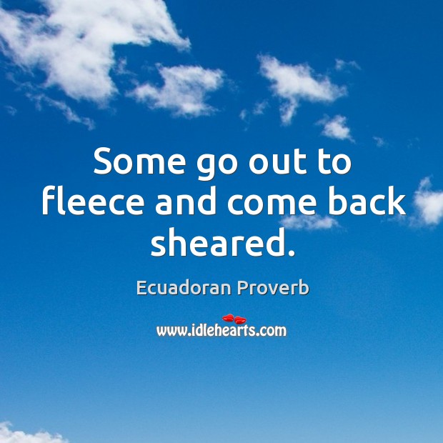 Some go out to fleece and come back sheared. Ecuadoran Proverbs Image