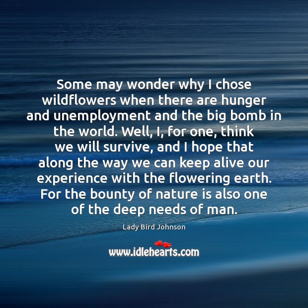 Some may wonder why I chose wildflowers when there are hunger and Lady Bird Johnson Picture Quote