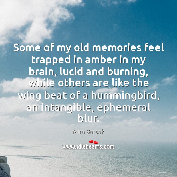Some of my old memories feel trapped in amber in my brain, 