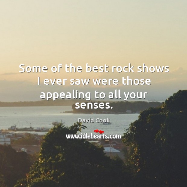 Some of the best rock shows I ever saw were those appealing to all your senses. David Cook Picture Quote