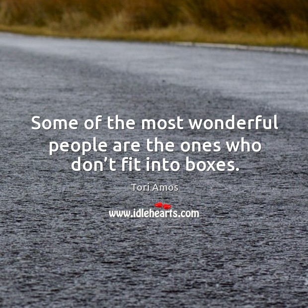 Some of the most wonderful people are the ones who don’t fit into boxes. Tori Amos Picture Quote