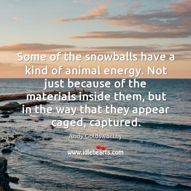Some of the snowballs have a kind of animal energy. Andy Goldsworthy Picture Quote