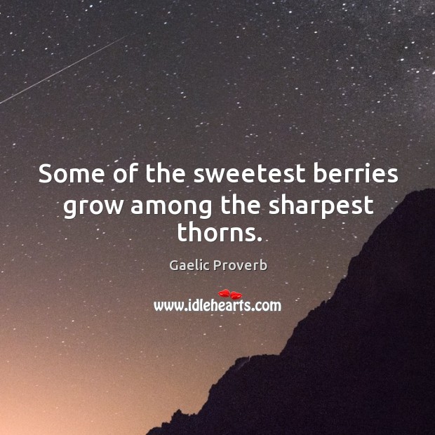Some of the sweetest berries grow among the sharpest thorns. Gaelic Proverbs Image