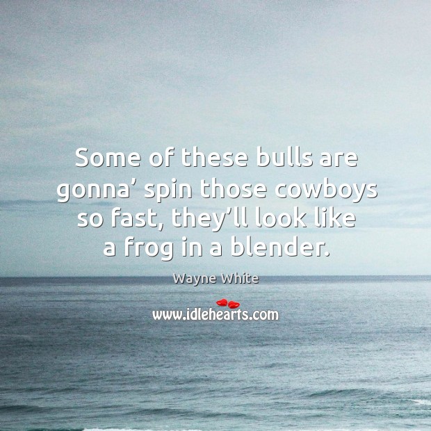 Some of these bulls are gonna’ spin those cowboys so fast, they’ll look like a frog in a blender. Wayne White Picture Quote