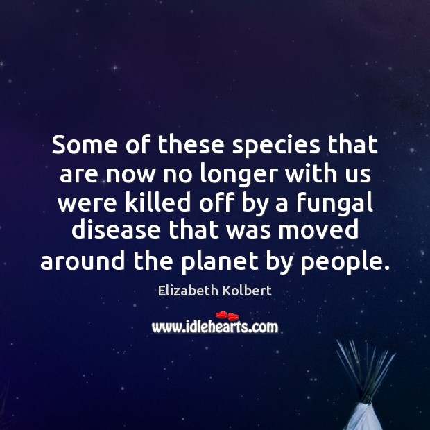 Some of these species that are now no longer with us were Image