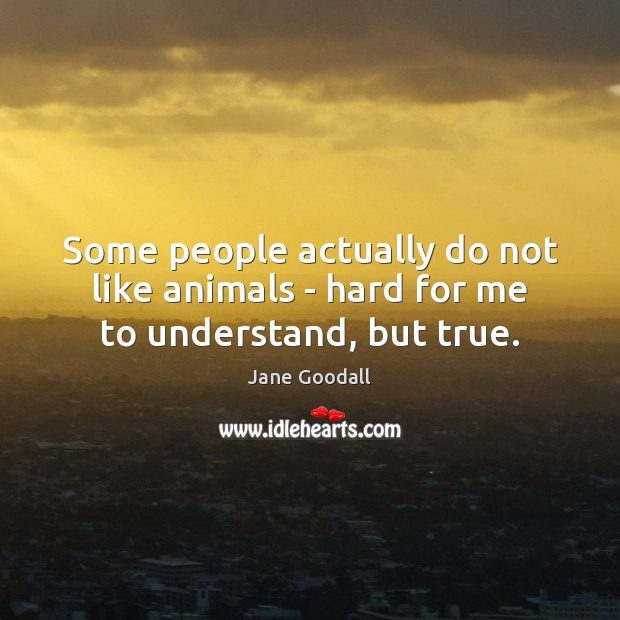 Some people actually do not like animals – hard for me to understand, but true. 