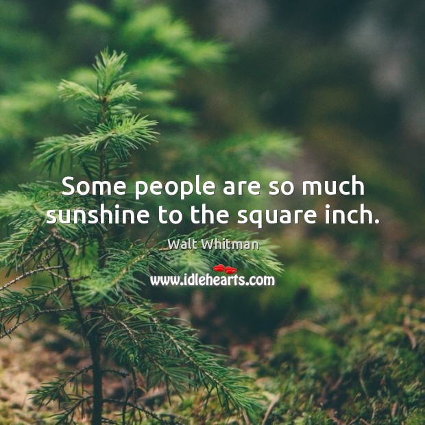 Some people are so much sunshine to the square inch. Walt Whitman Picture Quote