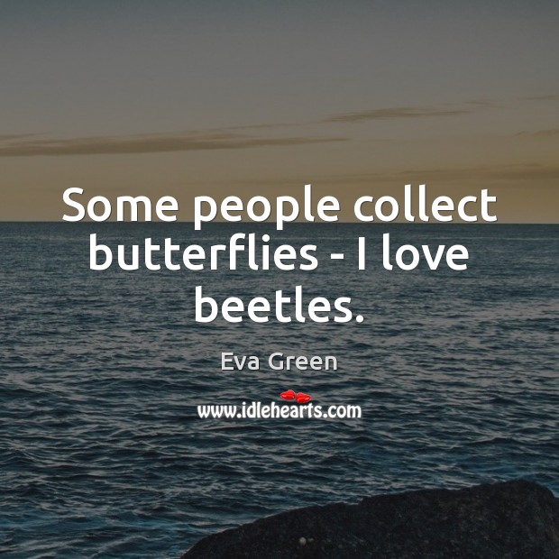 Some people collect butterflies – I love beetles. Image