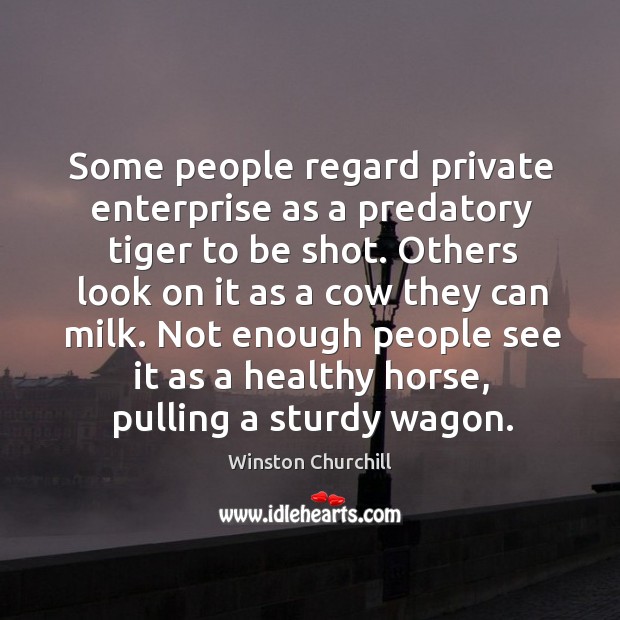Some people regard private enterprise as a predatory tiger to be shot. Image