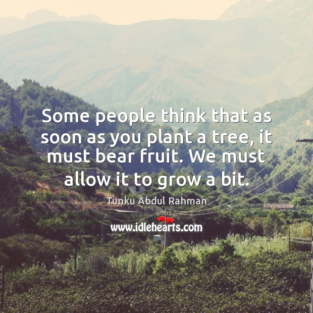 Some people think that as soon as you plant a tree, it Tunku Abdul Rahman Picture Quote