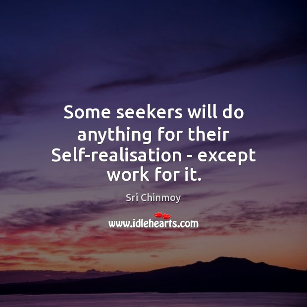 Some seekers will do anything for their Self-realisation – except work for it. Sri Chinmoy Picture Quote