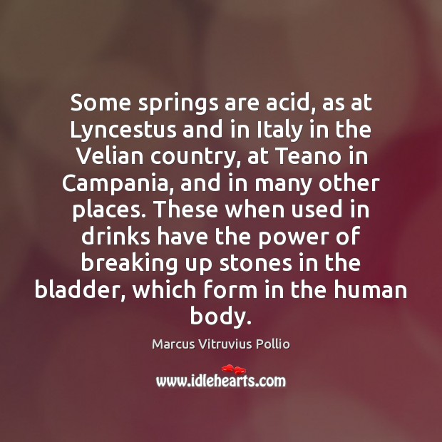 Some springs are acid, as at Lyncestus and in Italy in the Marcus Vitruvius Pollio Picture Quote
