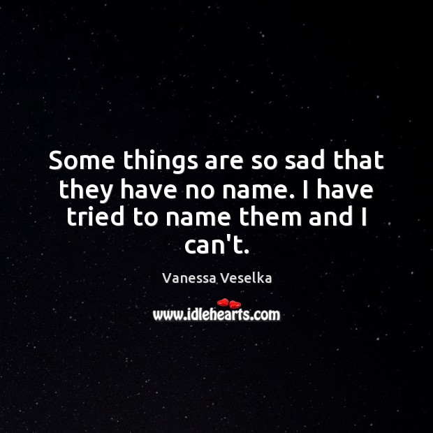 Some things are so sad that they have no name. I have tried to name them and I can’t. Vanessa Veselka Picture Quote