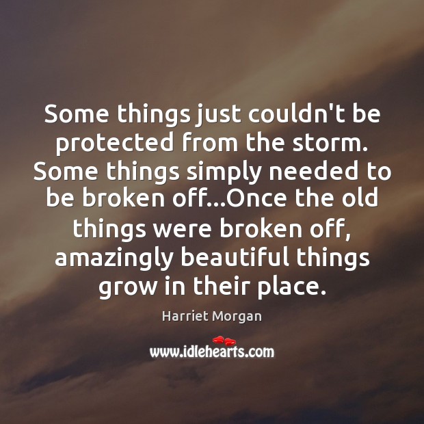Some things just couldn’t be protected from the storm. Some things simply Harriet Morgan Picture Quote