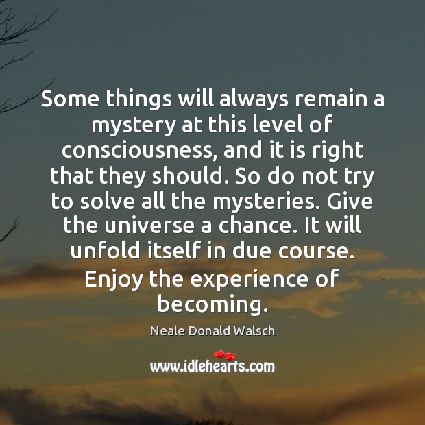 Some things will always remain a mystery at this level of consciousness, Neale Donald Walsch Picture Quote