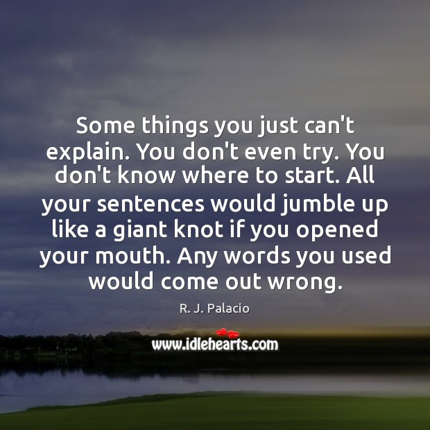 Some things you just can’t explain. You don’t even try. You don’t R. J. Palacio Picture Quote