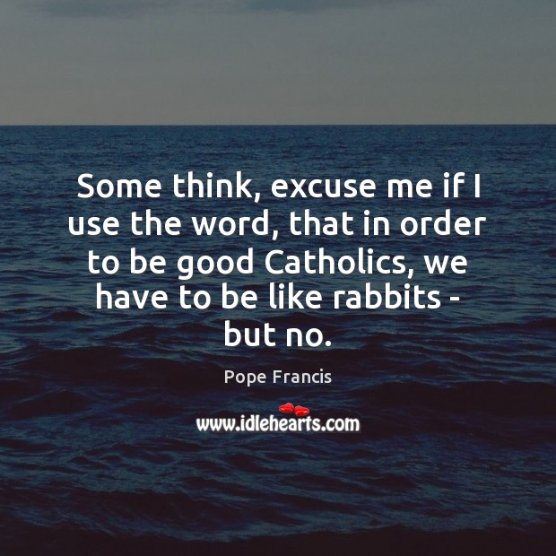 Some think, excuse me if I use the word, that in order Pope Francis Picture Quote