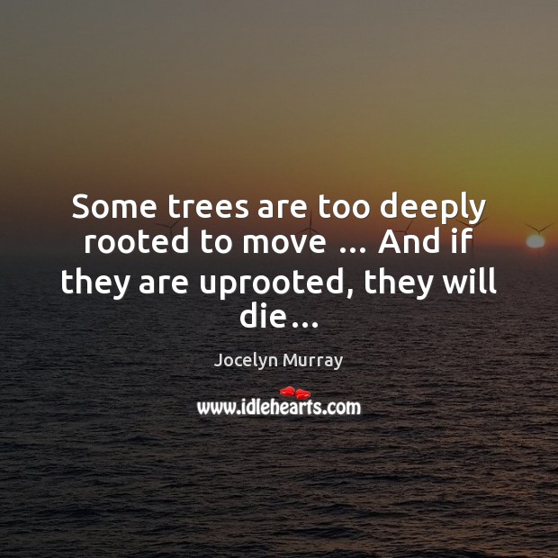 Some trees are too deeply rooted to move … And if they are uprooted, they will die… Image