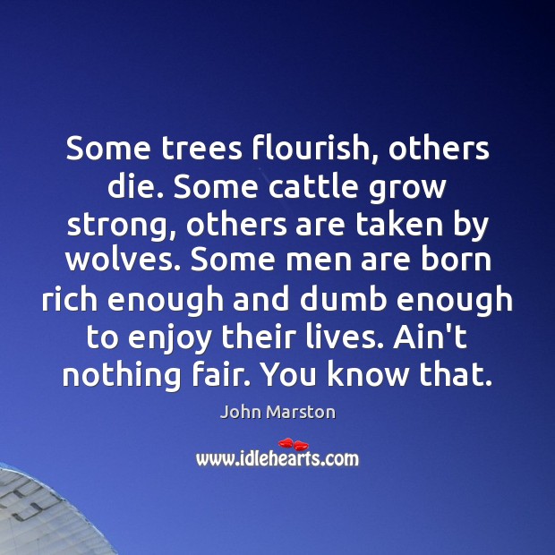 Some trees flourish, others die. Some cattle grow strong, others are taken Image