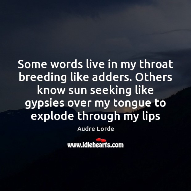 Some words live in my throat breeding like adders. Others know sun Audre Lorde Picture Quote