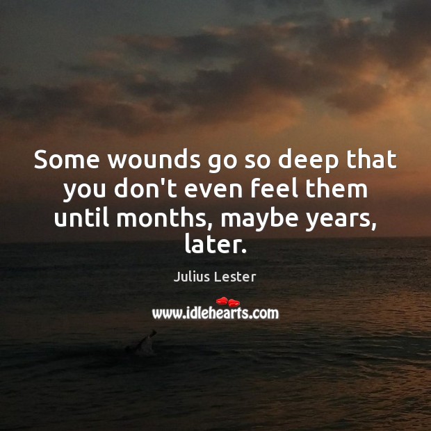 Some wounds go so deep that you don’t even feel them until months, maybe years, later. Julius Lester Picture Quote