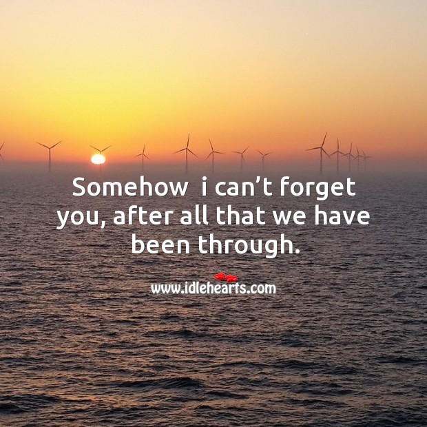 Somehow  I can’t forget you, after all that we have been through. Image
