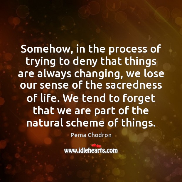 Somehow, in the process of trying to deny that things are always Pema Chodron Picture Quote
