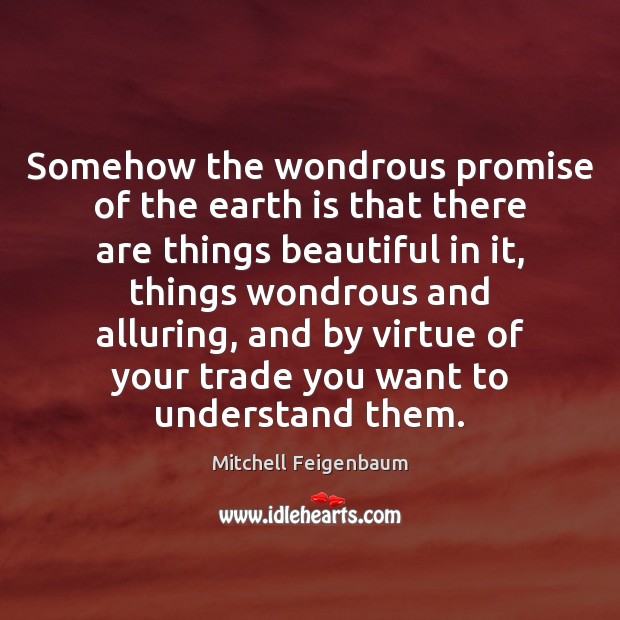 Somehow the wondrous promise of the earth is that there are things Image