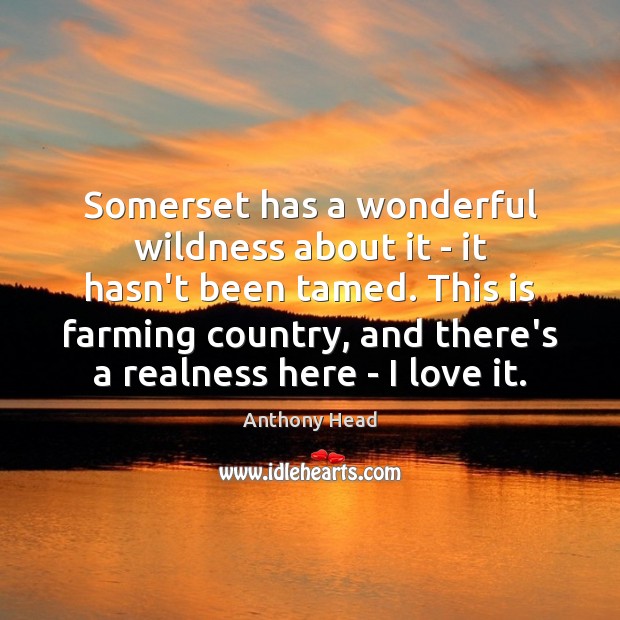 Somerset has a wonderful wildness about it – it hasn’t been tamed. Anthony Head Picture Quote