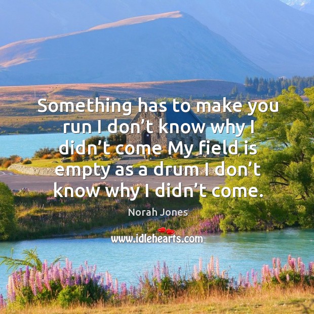 Something has to make you run I don’t know why I didn’t come my field Norah Jones Picture Quote