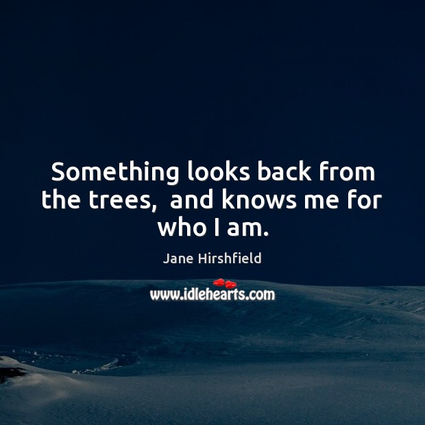 Something looks back from the trees,  and knows me for who I am. Jane Hirshfield Picture Quote