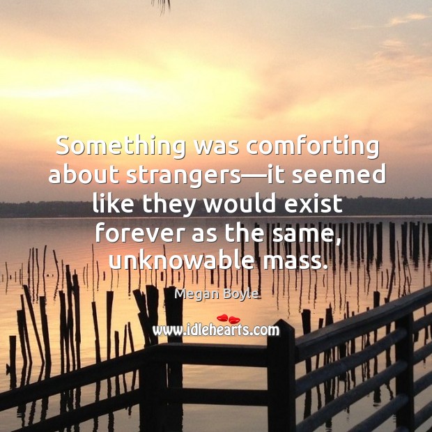 Something was comforting about strangers—it seemed like they would exist forever Megan Boyle Picture Quote