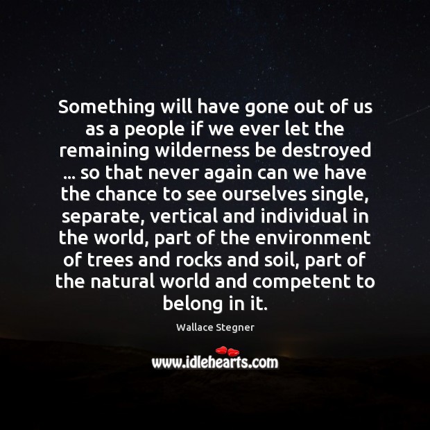 Something will have gone out of us as a people if we Wallace Stegner Picture Quote