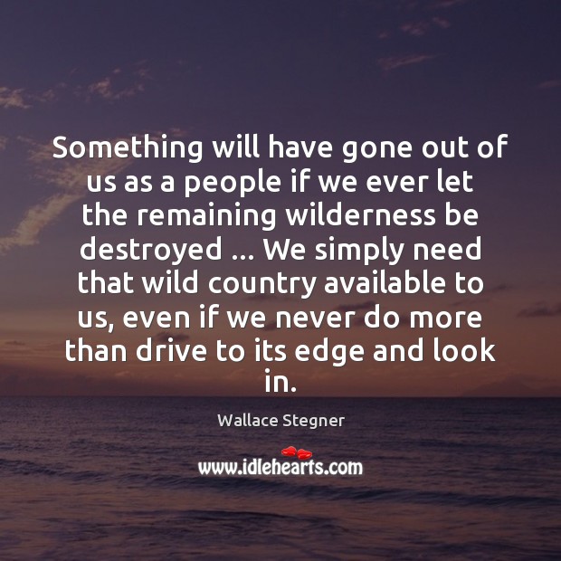 Something will have gone out of us as a people if we Wallace Stegner Picture Quote