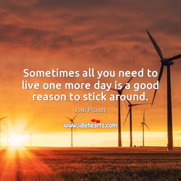 Sometimes all you need to live one more day is a good reason to stick around. Jodi Picoult Picture Quote