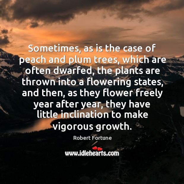Sometimes, as is the case of peach and plum trees, which are often dwarfed Robert Fortune Picture Quote