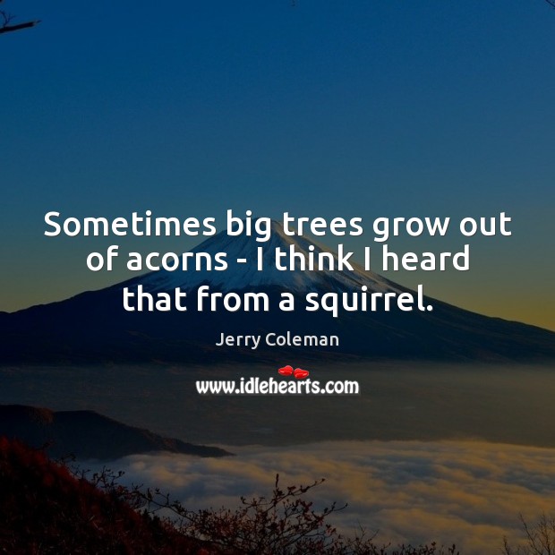 Sometimes big trees grow out of acorns – I think I heard that from a squirrel. Image
