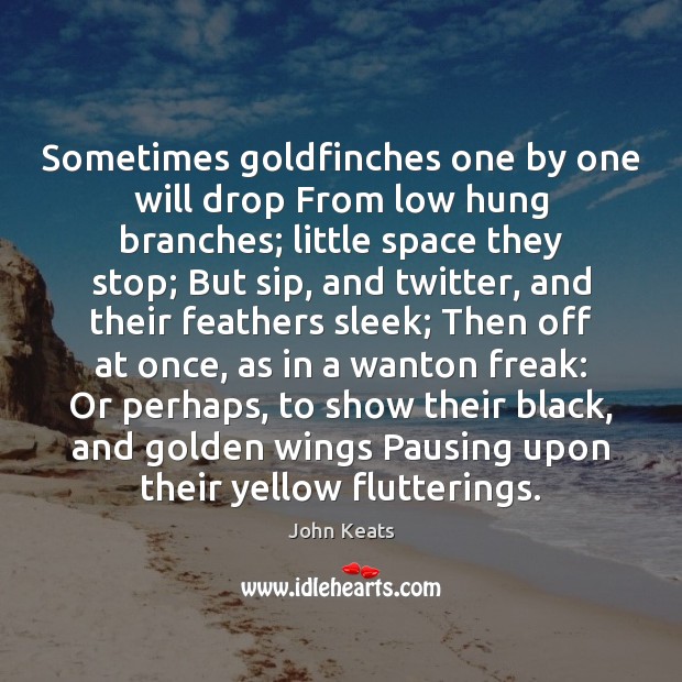 Sometimes goldfinches one by one will drop From low hung branches; little John Keats Picture Quote