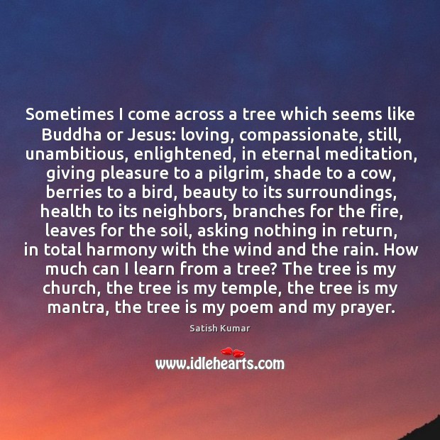 Sometimes I come across a tree which seems like Buddha or Jesus: Satish Kumar Picture Quote