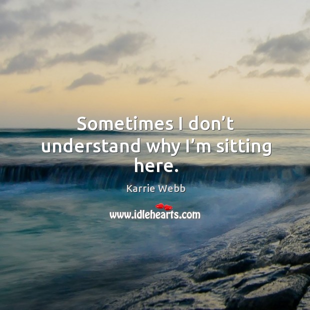 Sometimes I don’t understand why I’m sitting here. Karrie Webb Picture Quote