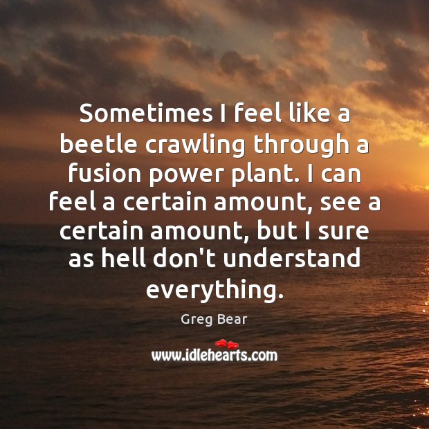 Sometimes I feel like a beetle crawling through a fusion power plant. Greg Bear Picture Quote