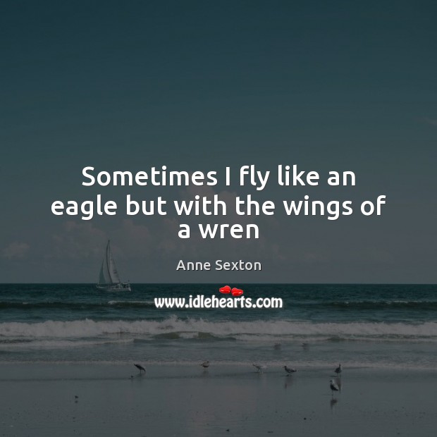 Sometimes I fly like an eagle but with the wings of a wren Anne Sexton Picture Quote