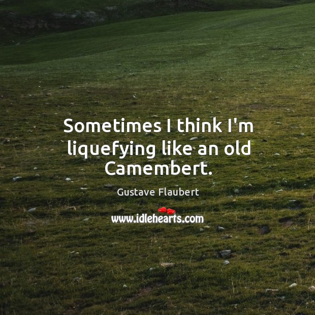 Sometimes I think I’m liquefying like an old Camembert. Gustave Flaubert Picture Quote