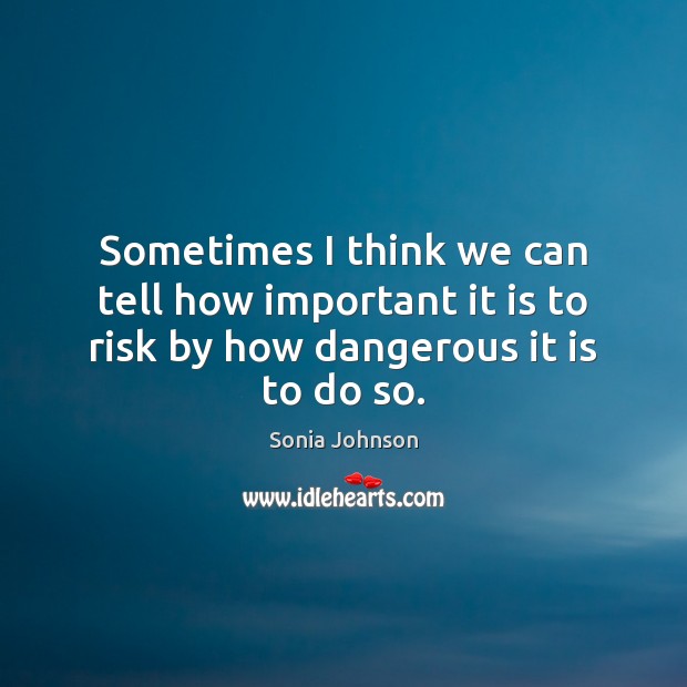 Sometimes I think we can tell how important it is to risk by how dangerous it is to do so. Sonia Johnson Picture Quote
