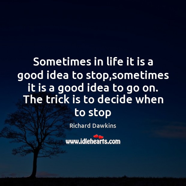 Sometimes in life it is a good idea to stop,sometimes it Richard Dawkins Picture Quote